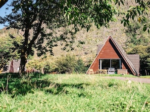 Plante, Bâtiment, Arbre, Paysage Naturel, Bois, Lot Terre, Maison, Herbe, Chalet, Prairie