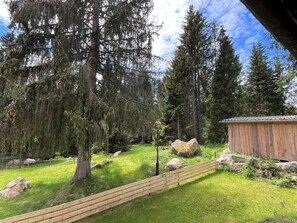 Pflanze, Eigentum, Himmel, Wolke, Botanik, Baum, Natürliche Landschaft, Lärche, Grundstueck, Vegetation