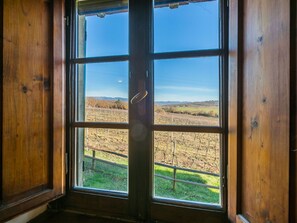 Pflanze, Himmel, Eigentum, Fenster, Schatten, Holz, Interior Design, Baum, Landschaft