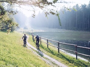 Vélo, L'Eau, Plante, Roue, Clôture, Paysage Naturel, Arbre, Lac