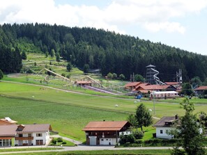 Himmel, Wolke, Pflanze, Berg, Natur, Natürliche Landschaft, Baum, Hochland, Grundstueck, Gras