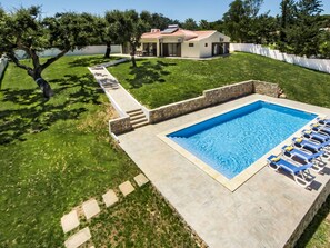 Plant, Sky, Water, Swimming Pool, Building, Tree, Rectangle, Grass, Leisure, Shade