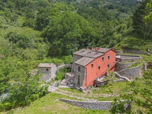 Plant, Building, Tree, Natural Landscape, House, Slope, Wood, Groundcover, Landscape, Cottage