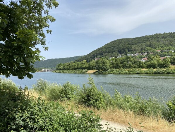 Water, Sky, Plant, Cloud, Natural Landscape, Mountain, Lake, Watercourse, Tree