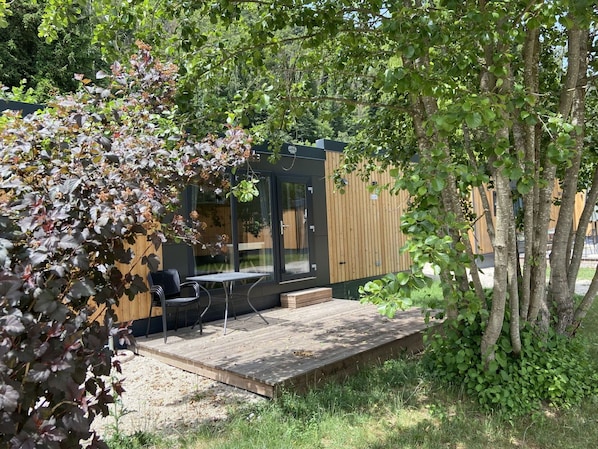 Plante, Communauté Des Plantes, Ombre, Bâtiment, Arbre, Paysage Naturel, Mobilier De Jardin, Extérieur Banc, Bois, Herbe