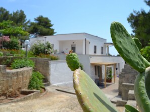 Plante, Ciel, Arbre, Végétation, Terrestre Des Plantes, Maison, Bâtiment, Herbe, Fenêtre, Paysage