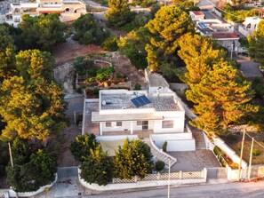 Plant, Sky, Property, Building, Azure, Blue, Tree, House, Leisure, Residential Area