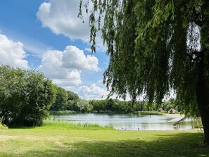 Water, Cloud, Sky, Water Resources, Plant, Natural Landscape, Tree, Lake, Sunlight, Land Lot