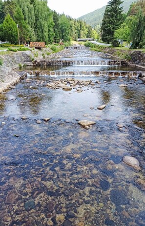 Wasser, Wasservorräte, Wasserlauf, Strom, \"Fels, Bank, Fluss, Auwald