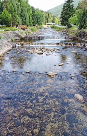 Wasser, Wasservorräte, Wasserlauf, Strom, \"Fels, Bank, Fluss, Auwald