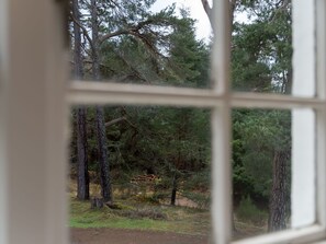 Pflanze, Fenster, Holz, Baum, Schatten, Gittergewebe, Zweig, Tönungen Und Schatten, Glas