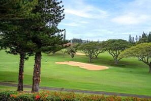 Golf course view