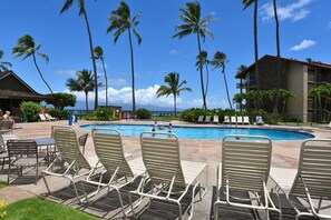 Heated Pool