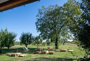 Autumn, Garden, Spring, Summer