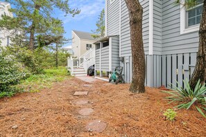 ,Back Elevation,