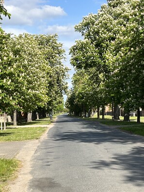 Die Kastanienallee