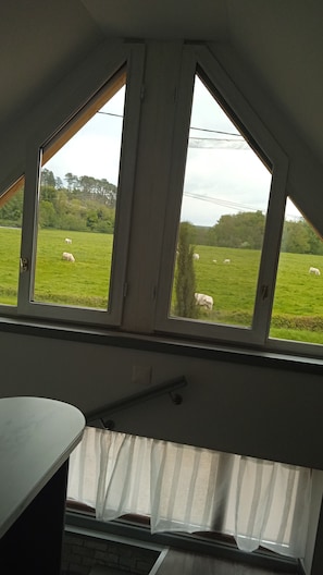 vue depuis fenêtre gîte.