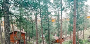 From the porch, you'll be captivated by the breathtaking view of the surrounding Ruidoso forest. Tall pines stretch as far as the eye can see, offering a serene and picturesque backdrop that e