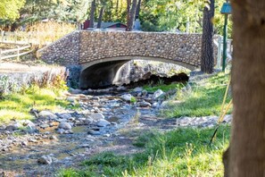 Cross into enchantment with our picturesque stone bridge, where rustic charm meets timeless elegance, inviting you to explore nature's wonders!