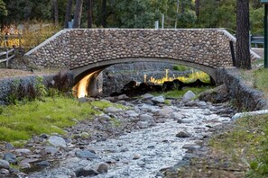 Step across our delightful short stone bridge, a picturesque path that infuses rustic charm and character into the landscape, beckoning you to venture forth and immerse yourself in nature's be