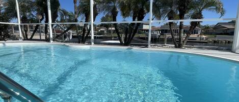 Swim in a screened area