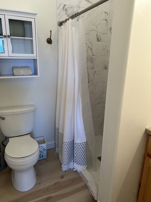 Easy access shower, low profile with grab bar