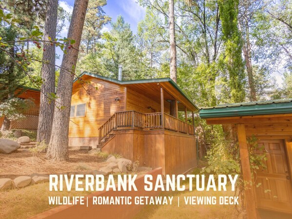 Escape to Riverbank Sanctuary, a perfect romantic getaway surrounded by wildlife. Relax on the viewing deck and immerse yourself in the peaceful natural beauty that makes this cabin a true san
