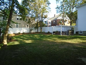 Back yard