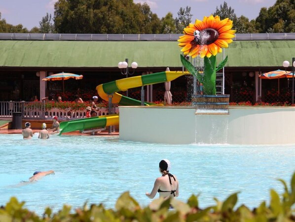 Wasser, Blume, Pflanze, Schwimmbad, Grün, Himmel, Gelb, Baum, Gewässer, Freizeit