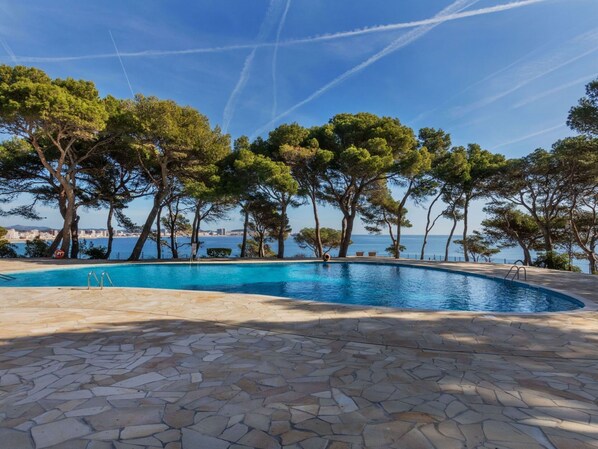 Water, Sky, Cloud, Plant, Swimming Pool, Tree, Shade, Arecales, Leisure, Landscape