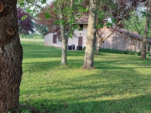 Property grounds