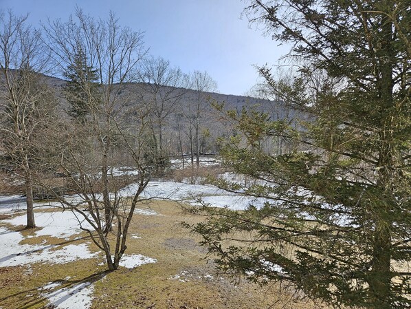 View toward vineyard and river