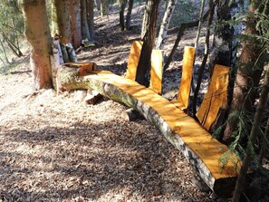 Pflanze, Holz, Baum, Natürliche Landschaft, Kofferraum, Gras, Zweig, Schatten, Laub, Tönungen Und Schatten