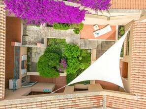 Propriété, Violet, Plante, Architecture, Design Urbain, Zone Résidentielle, Quartier, Brique, Violet, Matériel De La Propriété