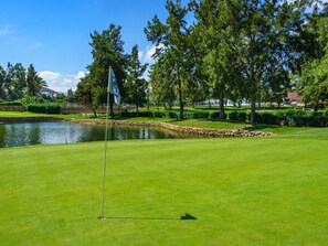 Plant, Water, Sky, Tree, Natural Landscape, Golf Club, Golf Course, Cloud, Land Lot
