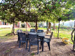 Table, Property, Furniture, Plant, Tableware, Tree, Shade, Chair, Building, Outdoor Furniture