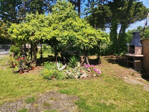 Plant, Plant Community, Flower, Tree, Land Lot, Vegetation, Natural Landscape, Woody Plant, Shrub, Groundcover