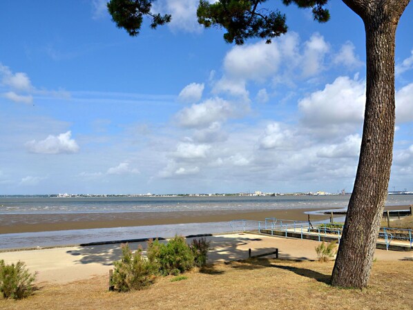 Nuage, L'Eau, Ciel, Plante, Environnement Naturel, Paysage Naturel, Plage, Cotiers Et Relief Océaniques, Arecales, Paysage