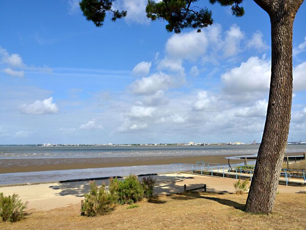 Nuage, L'Eau, Ciel, Plante, Environnement Naturel, Paysage Naturel, Plage, Cotiers Et Relief Océaniques, Arecales, Paysage