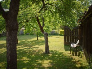 Plante, La Nature, Arbre, Ombre, Paysage Naturel, Branche, Lot Terre, Lumière Du Soleil, Végétation, Tronc