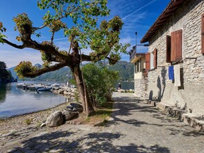 Water, Sky, Window, Plant, Building, Wood, Tree, Lake, House, Road Surface