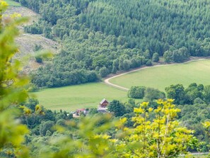Plant, Tree, Natural Landscape, Land Lot, Flower, Biome, Slope, Mountainous Landforms, Plain
