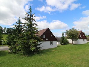 Cloud, Sky, Plant, Building, Tree, Larch, Natural Landscape, House, Land Lot, Grass
