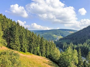 Mountainous Landforms, Tree, Mountain, Hill, Forest, Wilderness, Highland, Natural Landscape, Hill Station