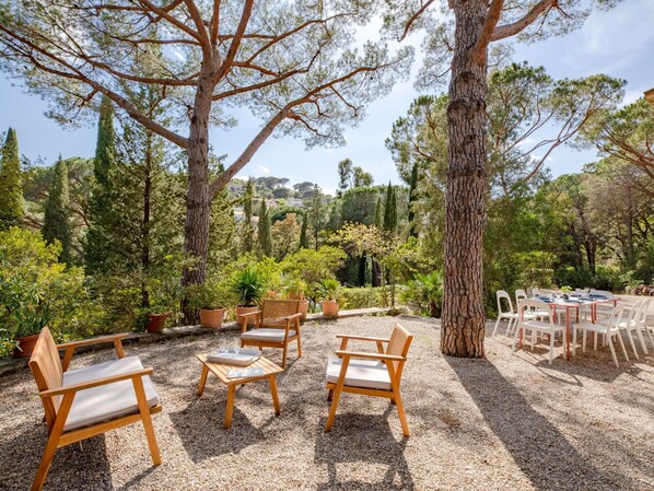 Table, Plant, Cloud, Sky, Building, Property, Tableware, Chair, Interior Design, Outdoor Furniture