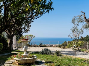 Strauch, Meer, Garten, Ozean, Frühling, Küste, Schatten, Blumentopf, Landscaping