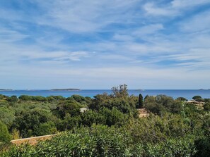 Cloud, Sky, Plant, Plant Community, Water, Natural Landscape, Coastal And Oceanic Landforms, Cumulus, Terrain, Grass