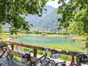 Vélo, Roue, L'Eau, Plante, Roue De Bicyclette