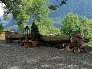 Plant, Flowerpot, Tree, Houseplant, Flower, Wood, Mountain, Landscape, Road Surface, Grass
