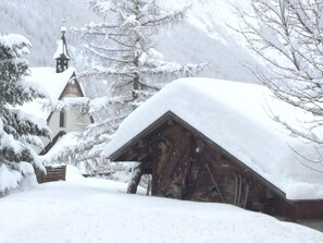 Snow, Building, Tree, Plant, Slope, Twig, House, Biome, Evergreen, Freezing